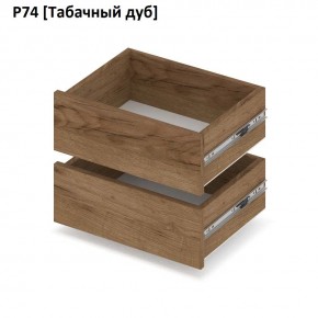 РОЛАНД Выдвижные ящики  Р76 в Муравленко - muravlenko.mebel24.online | фото 10
